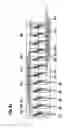 Fig. 09 - Method for producing a stator winding of an electric machine, in particular for producing an alternator