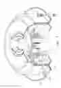 Fig. 08 - Ceiling fan motor