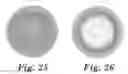 Fig. 18 - Solid state light with optical guide and integrated thermal guide