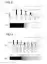 Fig. 03 - Light display device for displaying a display level