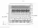 Fig. 01 - Electrochromic display element, display device and information apparatus