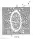 Fig. 09 - Emissive display blended with diffuse reflection