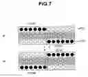 Fig. 08 - STEROSCOPIC IMAGE DISPLAY