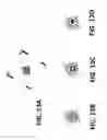 Fig. 17 - Motionless adaptive stereoscopic scene capture with tuneable liquid crystal lenses and stereoscopic auto-focusing methods