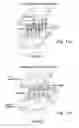 Fig. 11 - LIQUID CRYSTAL DEVICE COMPRISING CHIRAL NEMATIC LIQUID CRYSTAL MATERIAL IN A HELICAL ARRANGEMENT