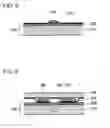 Fig. 04 - LIQUID CRYSTAL DISPLAY DEVICE AND MULTILAYER POLARIZATION PLATE