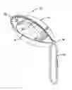 Fig. 01 - Protective eyewear