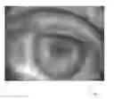 Fig. 01 - Scanning and processing using optical coherence tomography