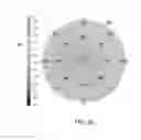 Fig. 05 - Scanning and processing using optical coherence tomography