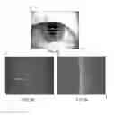 Fig. 10 - Scanning and processing using optical coherence tomography