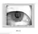 Fig. 13 - Scanning and processing using optical coherence tomography