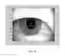 Fig. 14 - Scanning and processing using optical coherence tomography