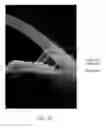 Fig. 17 - Scanning and processing using optical coherence tomography