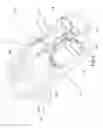 Fig. 05 - RANGEFINDER WITH INTEGRATED RED-DOT SIGHT