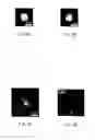 Fig. 09 - Optical microscope and optical instrumentation