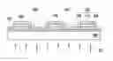 Fig. 01 - Printable photovoltaic electrochromic device and module