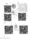 Fig. 04 - Method for evaluating fluorescence results in a microscope image