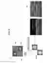 Fig. 08 - Method for fabricating micro-lens, and micro-lens array including the micro-lens