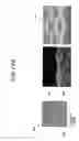 Fig. 13 - Method for fabricating micro-lens, and micro-lens array including the micro-lens