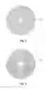 Fig. 03 - Timepiece faceplate and timepiece