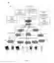Fig. 02 - Systems and methods for dynamic congestion management in communications networks