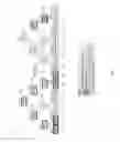 Fig. 08 - Systems and methods for dynamic congestion management in communications networks