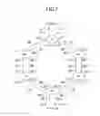 Fig. 08 - PATH SETTING METHOD AND TRANSMISSION DEVICE