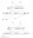Fig. 04 - Method and apparatus for assigning radio resources and controlling transmission parameters on a random access channel
