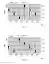 Fig. 11 - Base station apparatus that communicates with mobile station apparatuses, mobile station apparatus that communicates with a base station and transmission band setting method performed in a base station