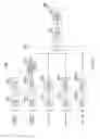 Fig. 12 - Base station apparatus that communicates with mobile station apparatuses, mobile station apparatus that communicates with a base station and transmission band setting method performed in a base station