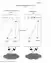 Fig. 04 - Visual interactive voice response