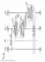 Fig. 21 - Telephone relaying apparatus, telephone relaying method, and program