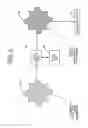 Fig. 04 - Methods and apparatus for automated true object-based image analysis and retrieval