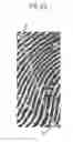 Fig. 22 - Striped pattern image examination support device, striped pattern image examination support method and program
