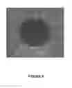 Fig. 10 - Ultrasound image performance determination