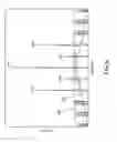 Fig. 07 - Region based virtual fourier filter