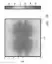 Fig. 08 - Multiple-core optical fiber with coupling between the cores