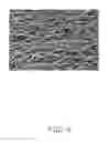 Fig. 05 - SHUTTER BLADE AND SHUTTER USING THE SAME
