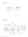 Fig. 07 - METHOD FOR FORMING HIGH GLOSSY PRINTED MATTER