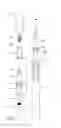 Fig. 02 - Eyeliner applicator