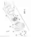 Fig. 07 - Hub clamp assembly