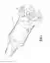 Fig. 02 - INNER COOLING CUTTER CHUCK