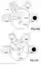 Fig. 14 - Dual arm robot