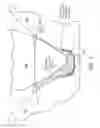 Fig. 04 - Gear root geometry for increased carryover volume