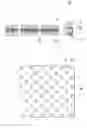 Fig. 01 - Solid reactant sheet, solid reactant stack, and fuel cartridge