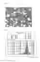 Fig. 03 - Process for production of spheroidized boron nitride