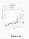 Fig. 12 - Antibody compositions, methods for treating neoplastic disease and methods for regulating fertility