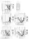 Fig. 14 - RS7 antibodies