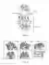 Fig. 06 - Antibodies and methods of use thereof