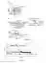 Fig. 07 - Antibodies and methods of use thereof